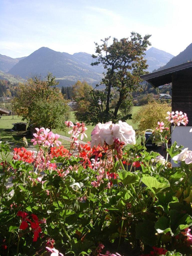 Malernhof Bed & Breakfast Kitzbuhel Exterior photo