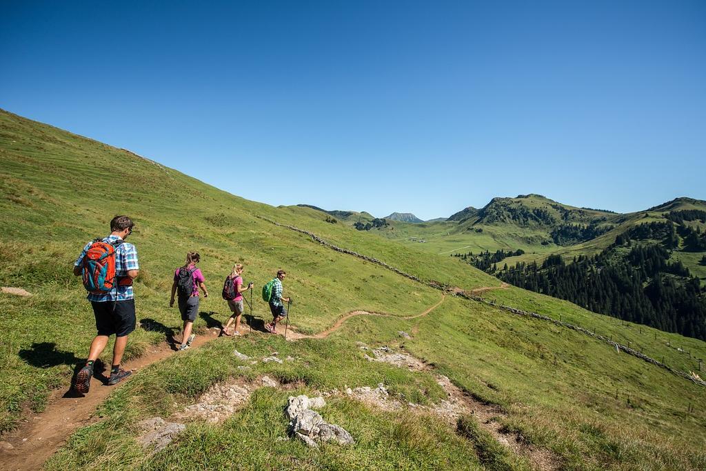 Malernhof Bed & Breakfast Kitzbuhel Exterior photo